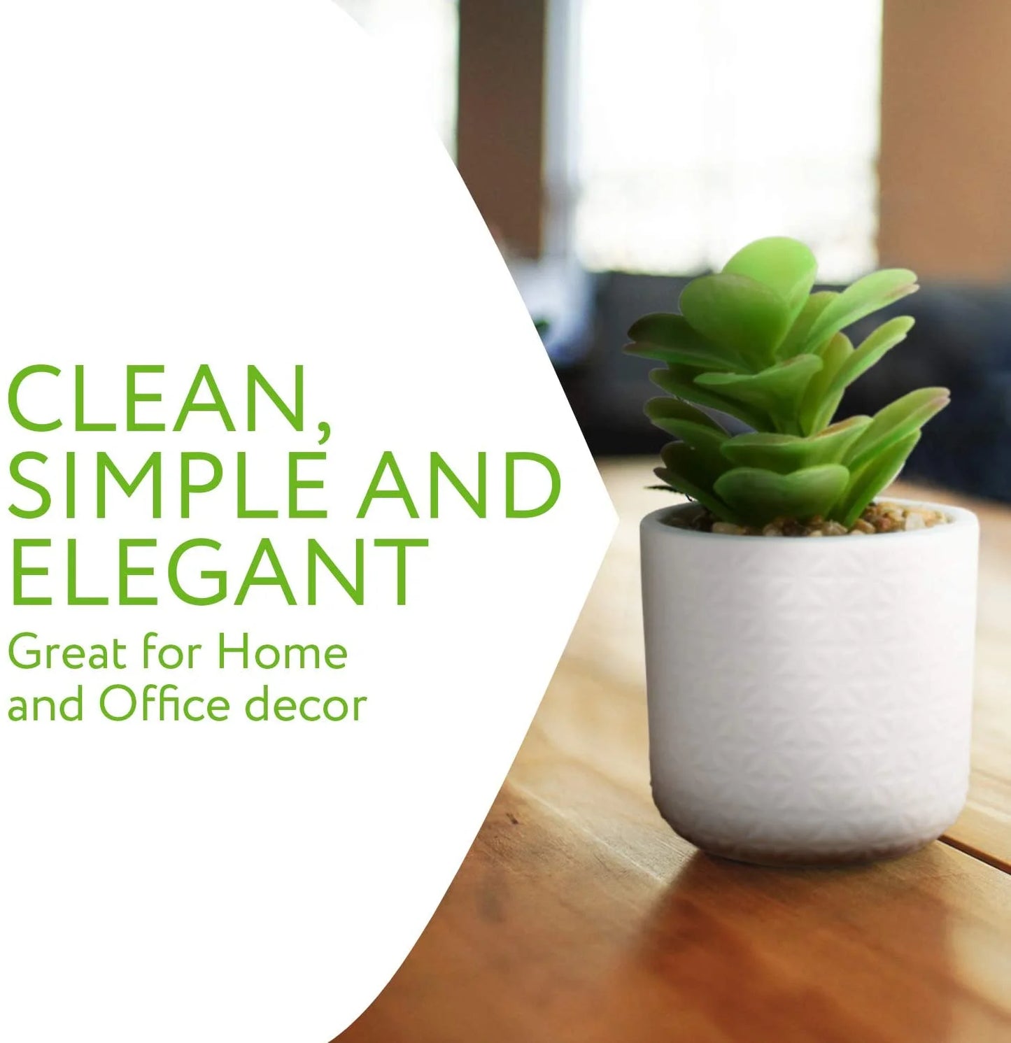 Set of 2 Artificial Succulent Plants, Fake Plants in White Ceramic Pots with Bamboo Tray, 6.5” Tall