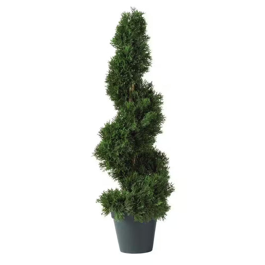 2 Ft. Cedar Spiral Silk Tree