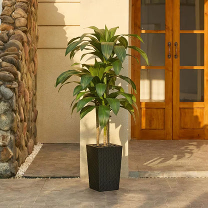 5 Ft. Artificial Dracaena Tree with Black Planter, Faux Plant Fake Tree for Home and Office Decor Indoor/Outdoor