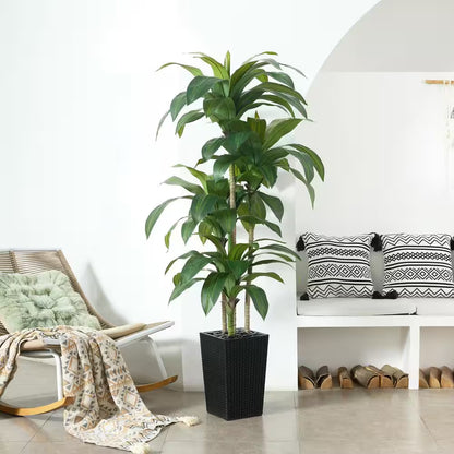 5 Ft. Artificial Dracaena Tree with Black Planter, Faux Plant Fake Tree for Home and Office Decor Indoor/Outdoor