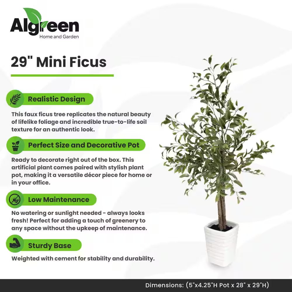 29 In. Artificial Mini Ficus (5 In. X 4.2 In. H Pot; 28 In. X 29 In. H)
