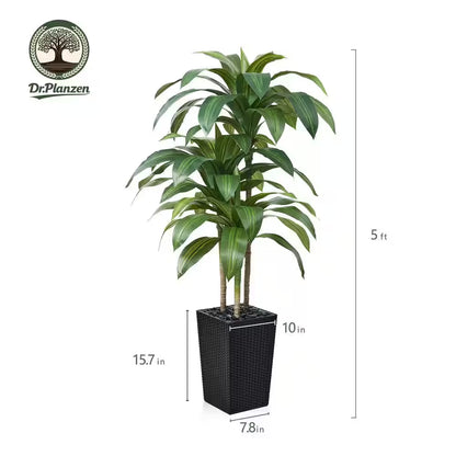 5 Ft. Artificial Dracaena Tree with Black Planter, Faux Plant Fake Tree for Home and Office Decor Indoor/Outdoor