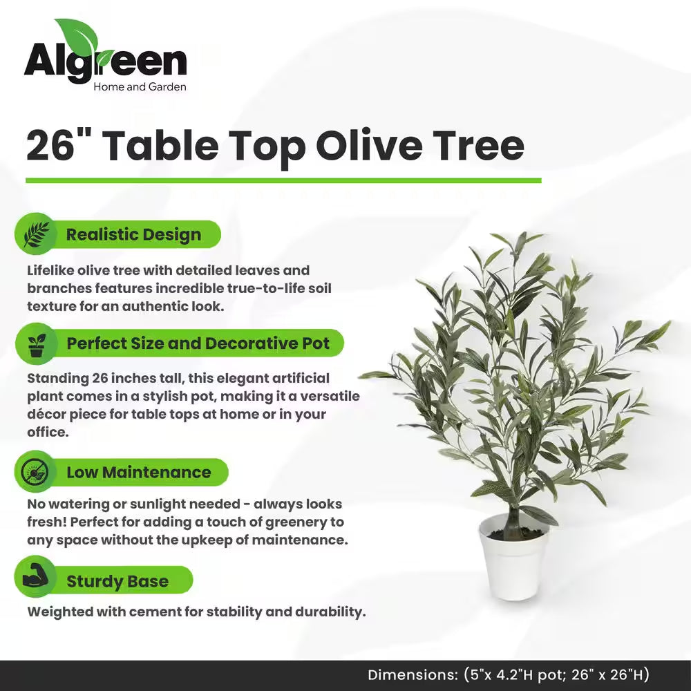26 In. Artificial Table Top Olive Tree (5 In. X 4.2 In. H Pot; 26 In. X 26 In. H)