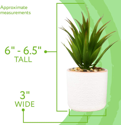 Set of 2 Artificial Succulent Plants, Fake Plants in White Ceramic Pots with Bamboo Tray, 6.5” Tall