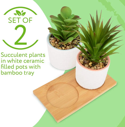 Set of 2 Artificial Succulent Plants, Fake Plants in White Ceramic Pots with Bamboo Tray, 6.5” Tall
